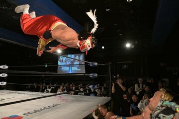 場外へ華麗なトペ・コンヒーロを放つハヤブサ(左)