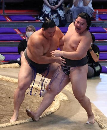  大青山（右）を寄り切った朝乃山（東スポWeb）