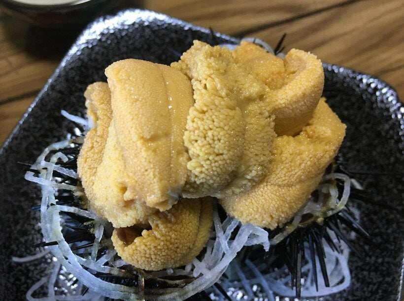  ロシア産のウニを食べないといっても、北海道のウニが不漁だ（東スポWeb）