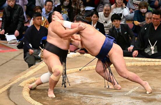 押し出しで栃大海に敗れる朝乃山