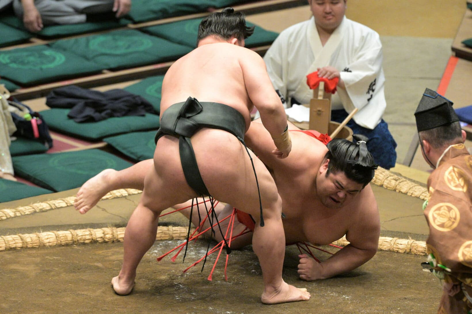 嘉陽（奥）を寄り倒した翠富士