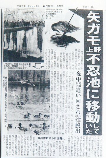  １９９３年の「矢ガモ」騒動はボーガンによる犯行だった