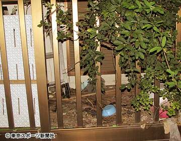 ミリが閉じ込められていたベランダはゴミだらけ