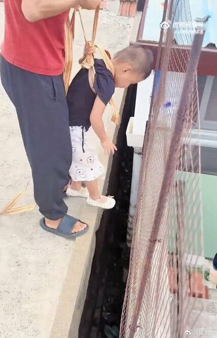 3歳の娘を使って子犬を救出(微博から)