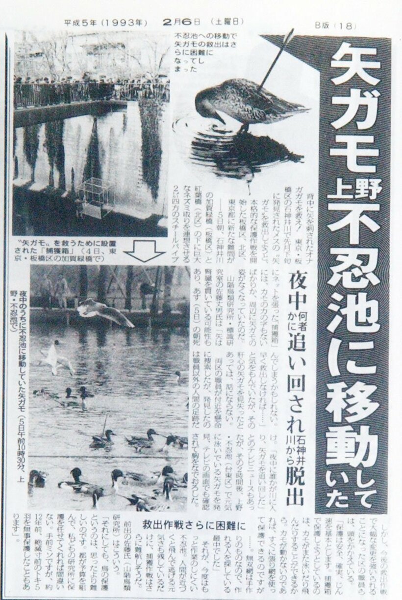  １９９３年の「矢ガモ」騒動はボーガンによる犯行だった