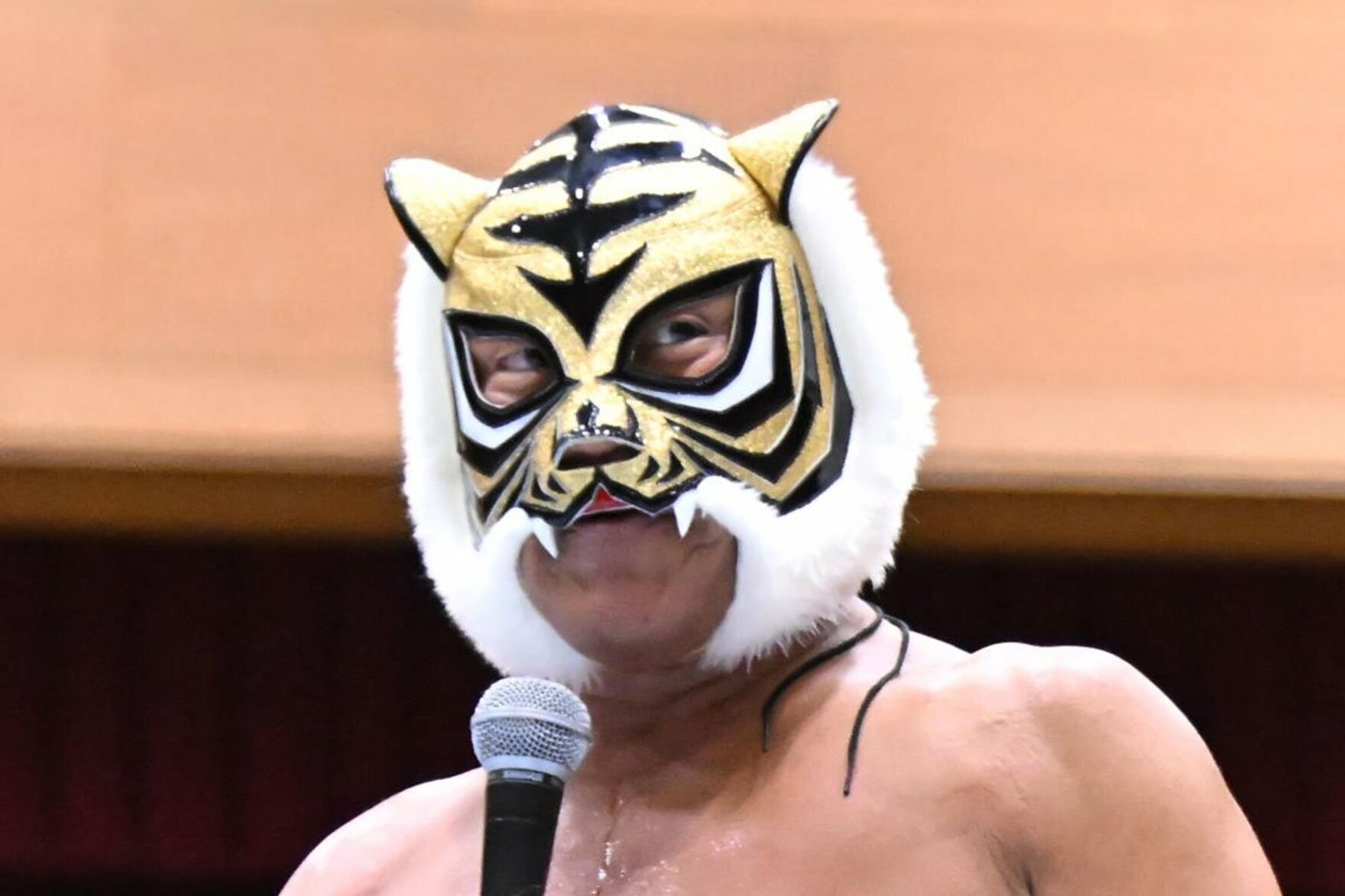 タイガーマスク