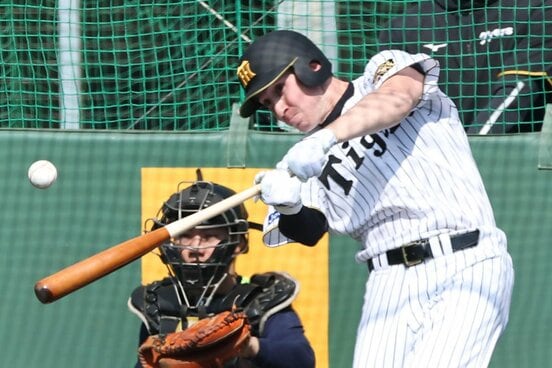 活躍が期待される阪神の新助っ人ディベイニー