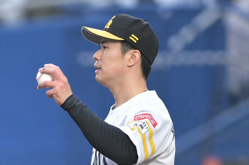 松本晴
