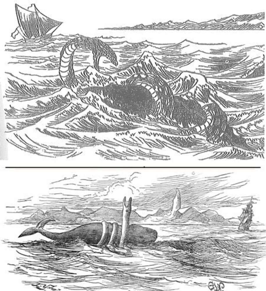  海の怪物遭遇事件をイラストで報じる「東京平仮名絵入新聞」（上）と英メディア（下）