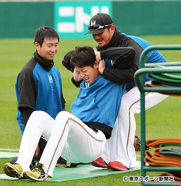 中田将のストレッチで悲鳴を上げた白村