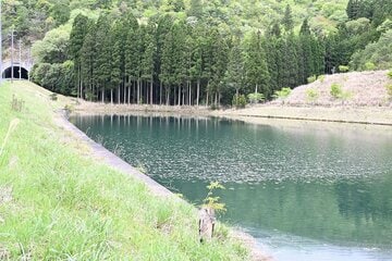 警察が捜索した国道沿いのため池