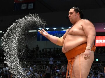  現役を引退し年寄「友綱」を襲名した魁聖（東スポWeb）