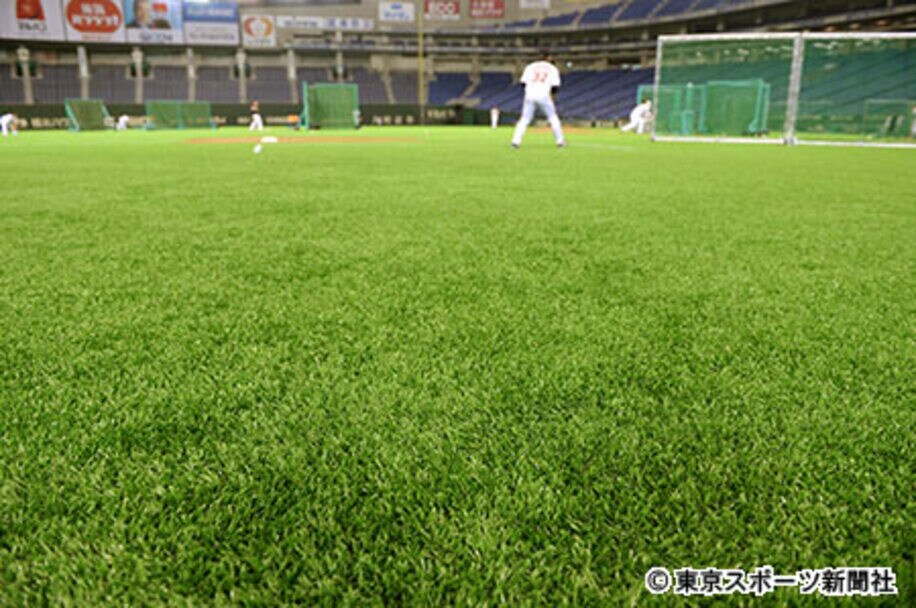 東京ドームの人工芝