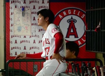  大谷（ロイター＝USA　TODAY　Sports）