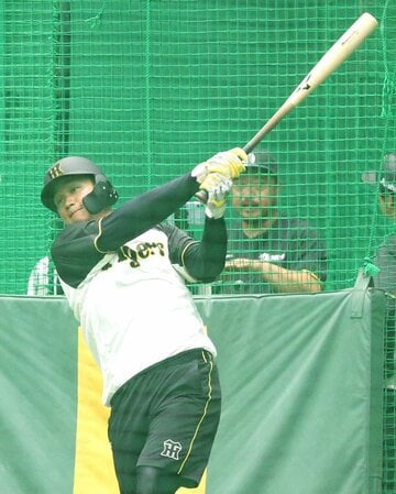 室内練習場で練習する阪神・森下翔太