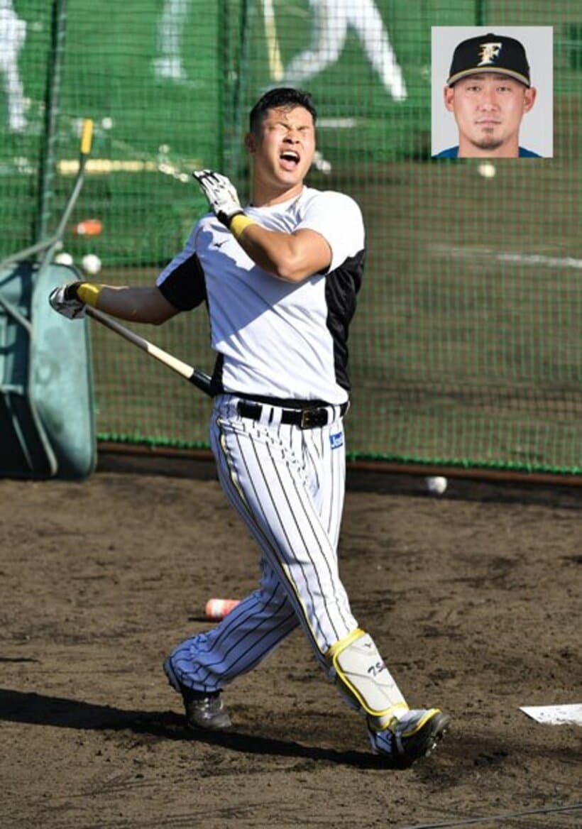  ロングティー打撃を行った阪神・佐藤輝（顔写真は日本ハム・中田）