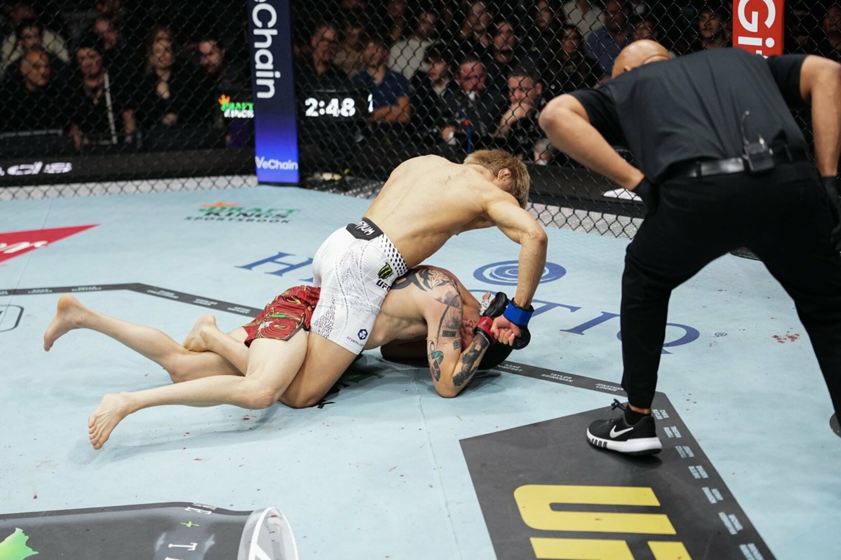 ブランドン・モレノにパウンドを放つ平良達郎(c)Zuffa LLC/UFC