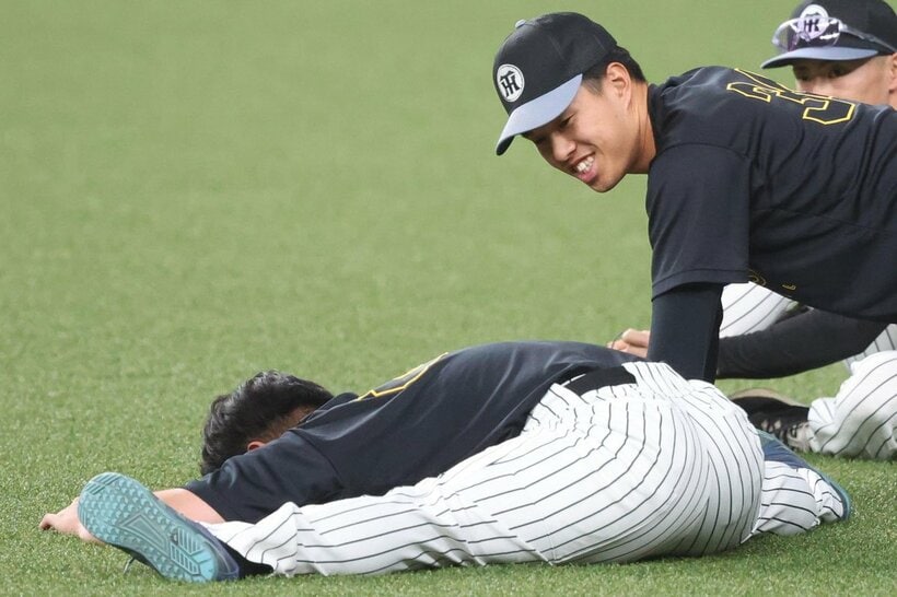 力士さながらの股割りを披露した阪神・嶋村