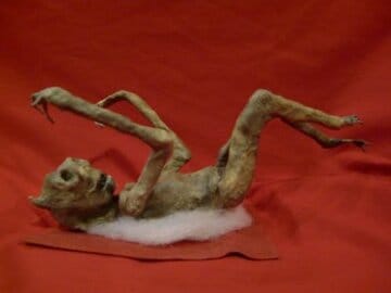 「山口敏太郎の妖怪博物館」にある鬼