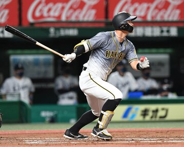  フォークをすくってスタンドへ運んだ阪神・佐藤輝