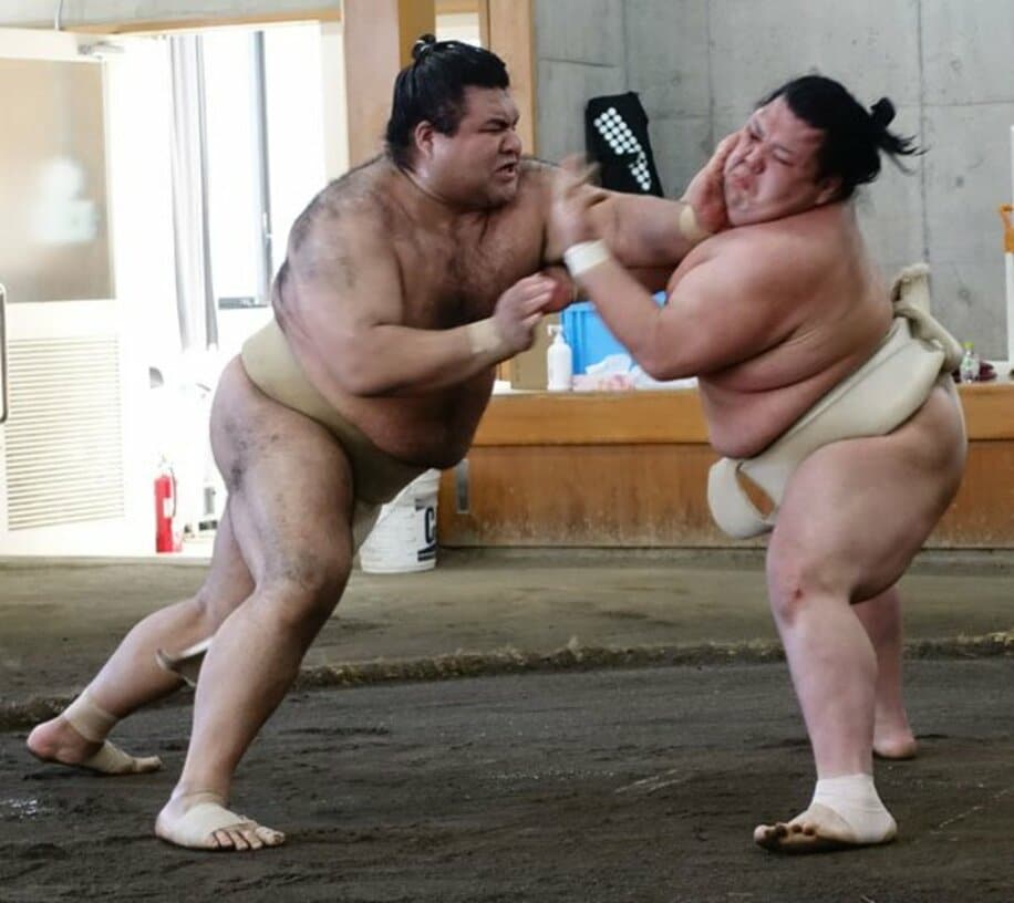  合同稽古で相撲を取った高安（左）