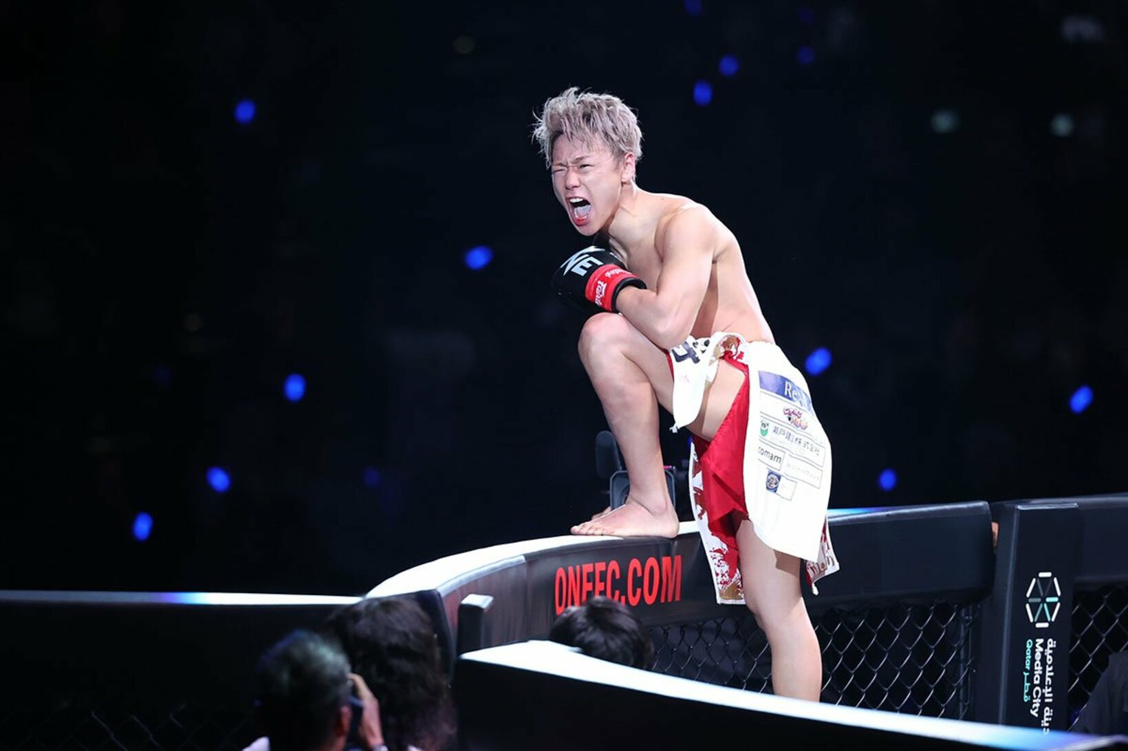 ピューリックに完勝した武尊