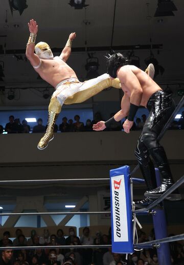 華麗な空中戦を繰り広げた