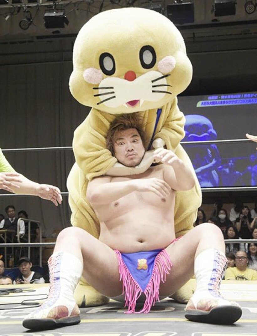  ポコたん（上）にチョークスリーパーで落とされる男色ディーノ