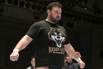 背水の陣のウルフアロン