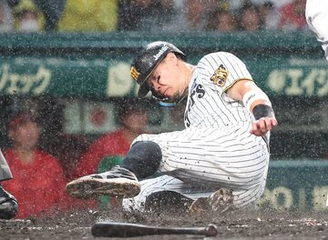 ２回、雨の中で同点のホームを踏んだ阪神・佐藤輝明