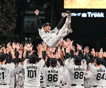 胴上げされる阪神・岩貞祐太