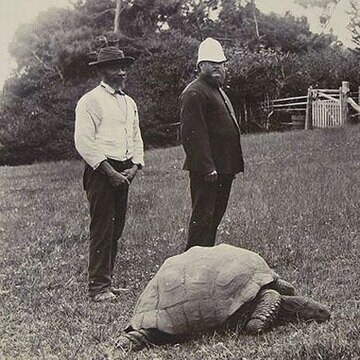 １９００年頃に撮影されたジョナサン 