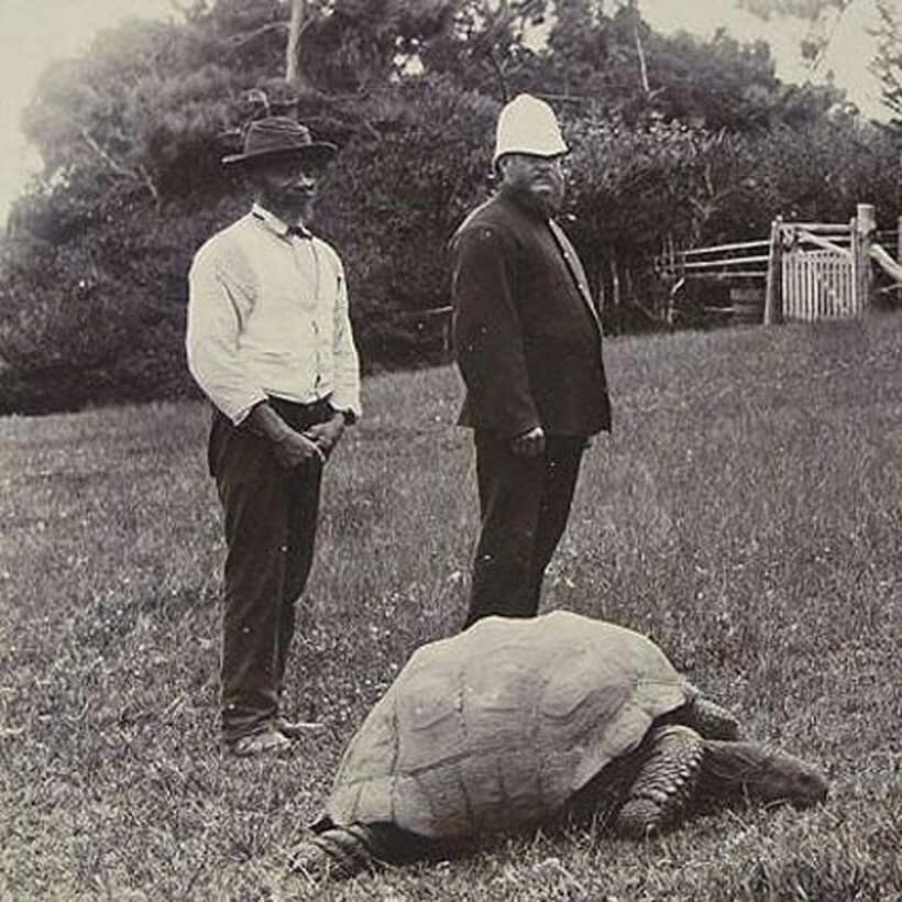 １９００年頃に撮影されたジョナサン 