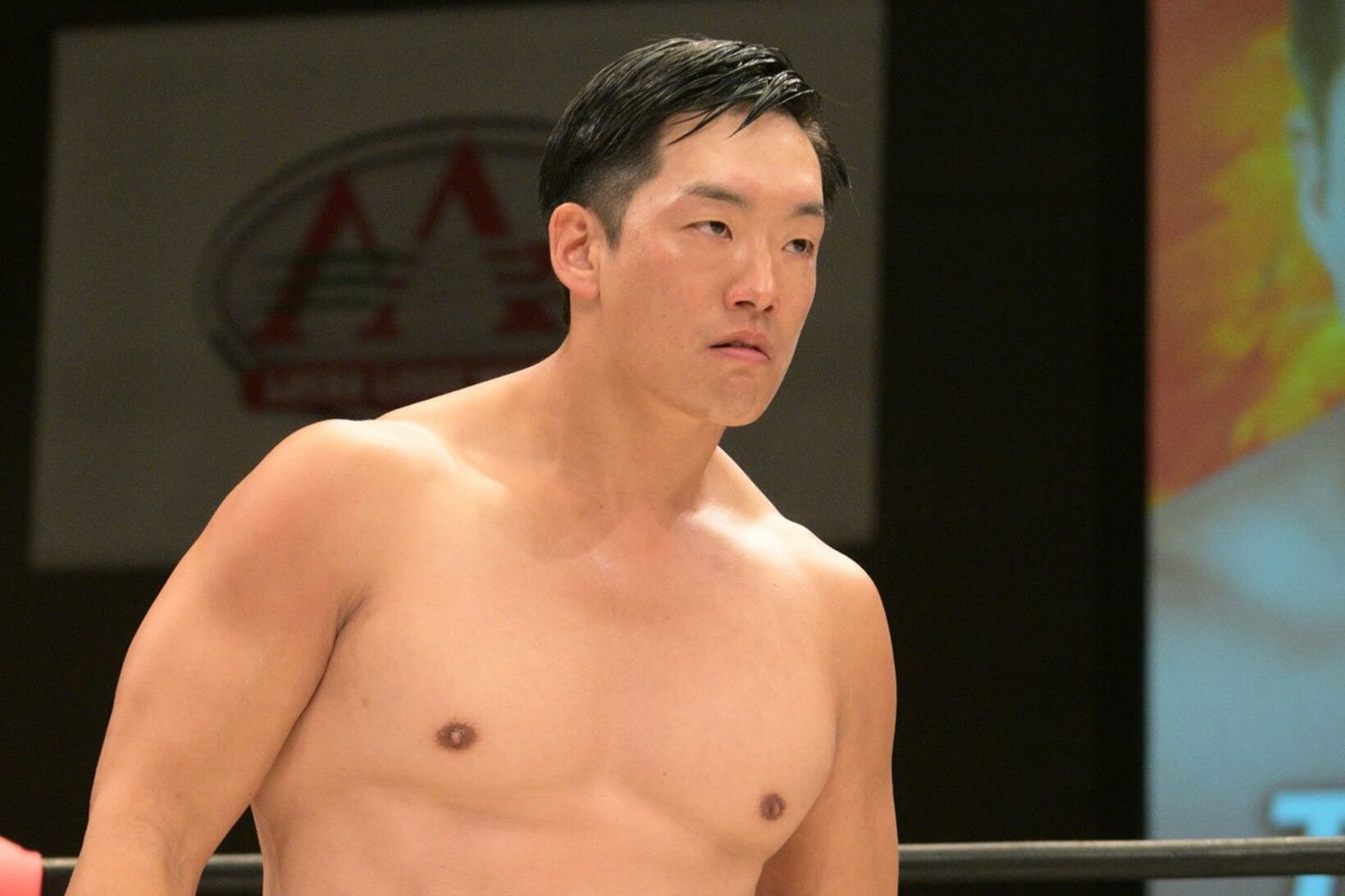 ブレない戦いを続けてきたT－Hawk
