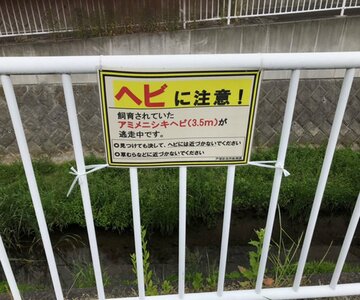  アニメニシキヘビが逃げ出した周辺の橋にかかる注意看板