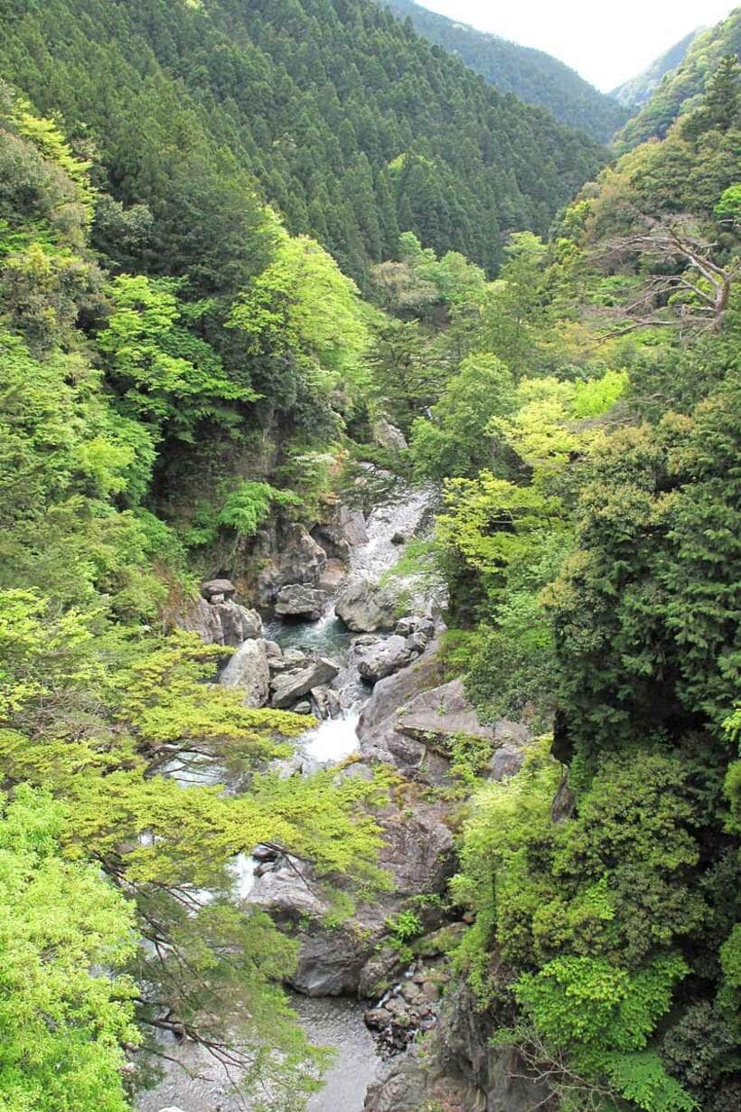 奥多摩の渓流