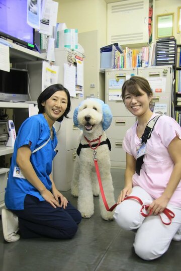 モリスと竹田志津代さん（左）と大泉奈々さん（「モリス、私を抱きしめて」青志社刊より）