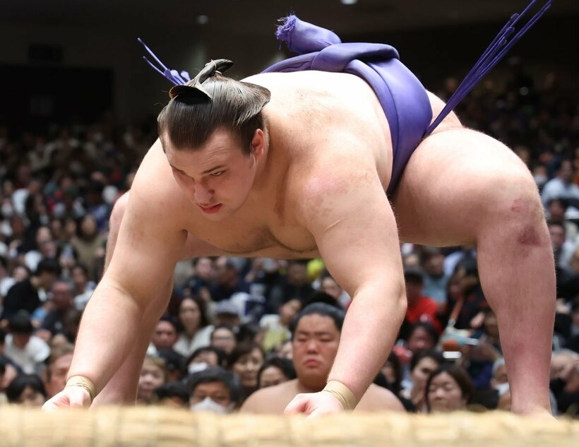 安青錦