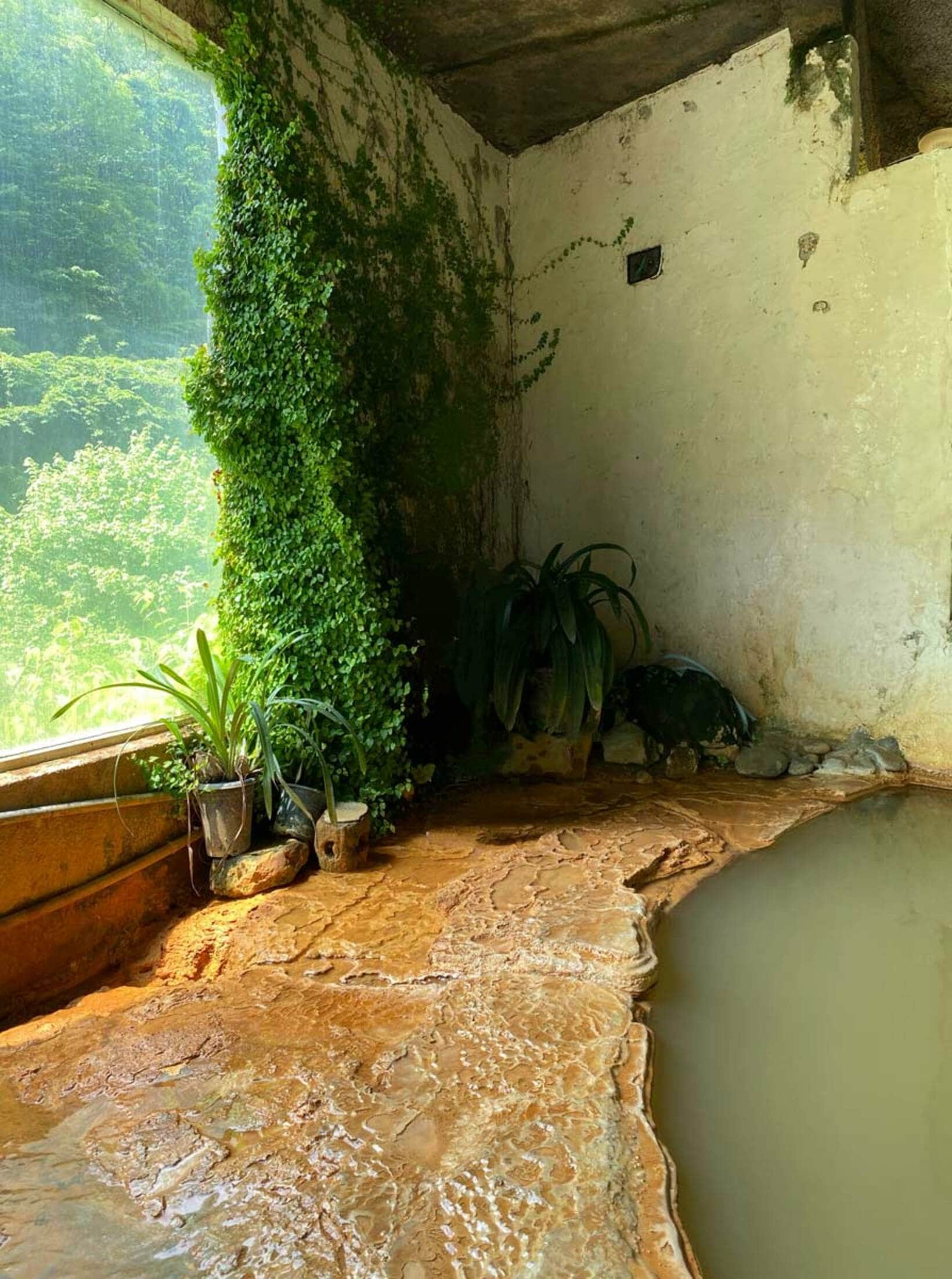 石灰分が何層にも重なった鍾乳洞のような内湯