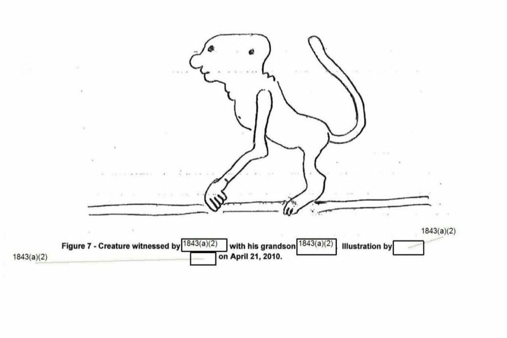 スキンウォーカー・ランチで目撃された奇妙な生物のスケッチ（米国防総省）