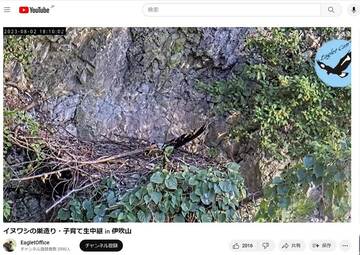 ニーナの様子にネット上ではクギ付けとなった（ユーチューブから）