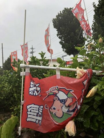  凄まじい風が沖縄を襲った