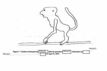 スキンウォーカー・ランチで目撃された奇妙な生物のスケッチ（米国防総省）