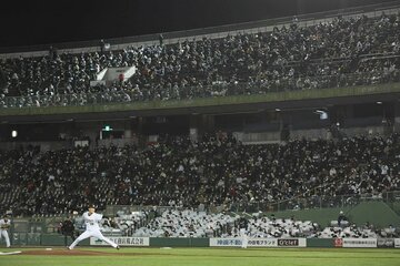 多くの観客が見守る中で力投する山本（東スポWeb）