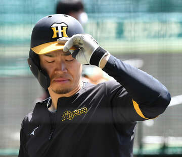  井上ヘッドは「２番・佐藤輝」に手応えを感じている（東スポWeb）