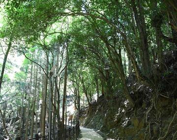 山道（写真はイメージ）