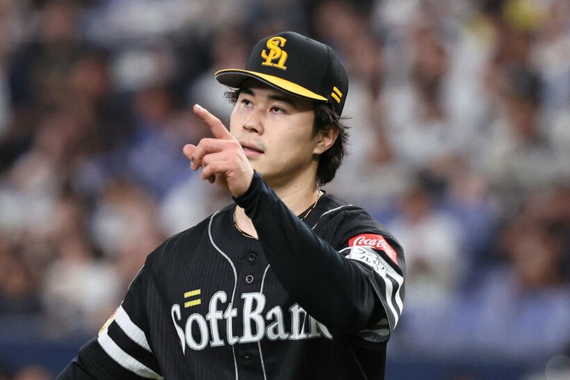 松本晴