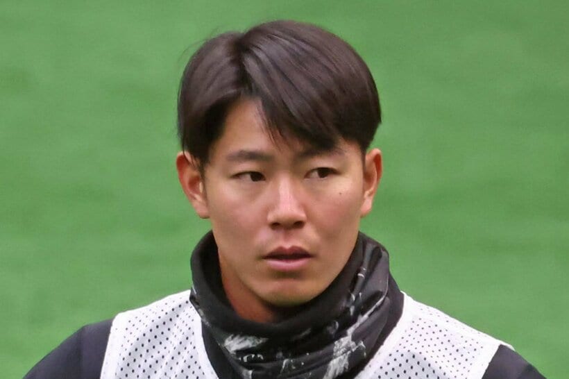 皆川岳飛