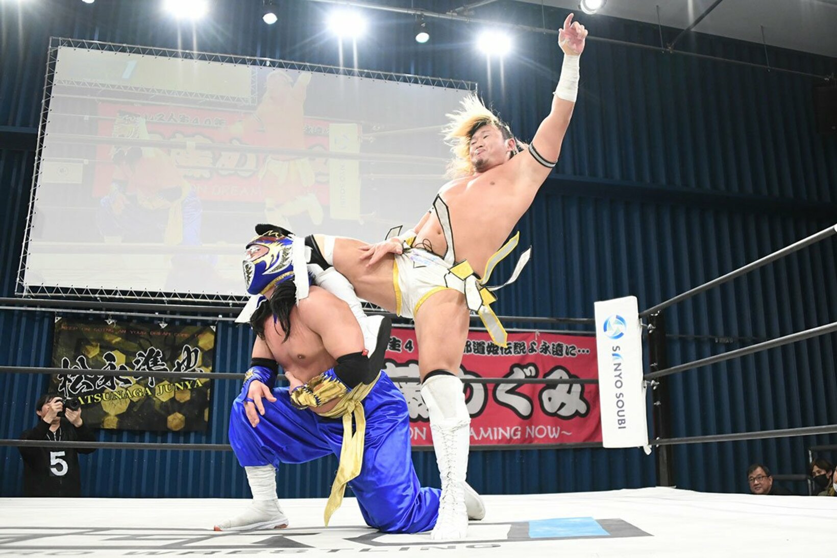 後頭部にニーを入れられてしまったハヤブサ(左)