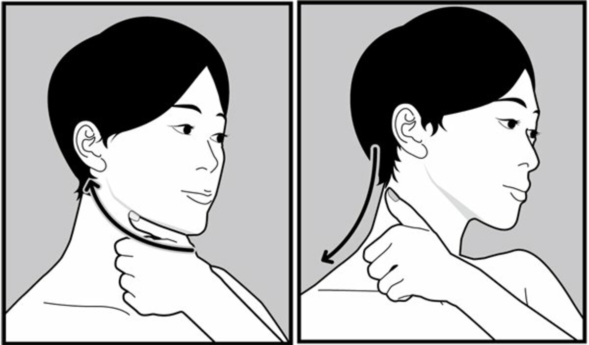 【老廃物の通り道をつくる】